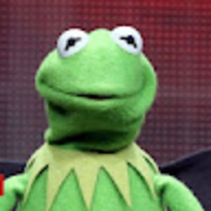 Meet your Posher, Shravani